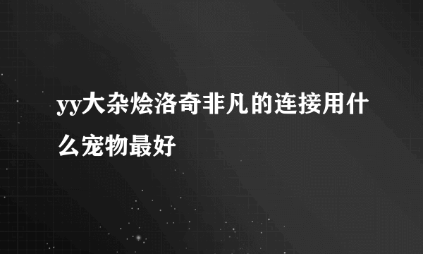 yy大杂烩洛奇非凡的连接用什么宠物最好