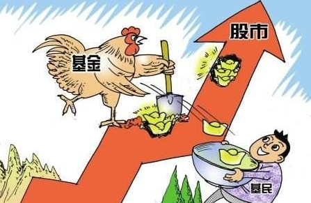 每日开放基金净值是多少？