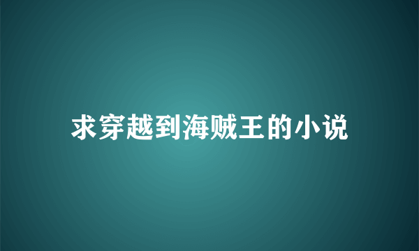 求穿越到海贼王的小说