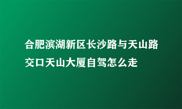 合肥滨湖新区长沙路与天山路交口天山大厦自驾怎么走