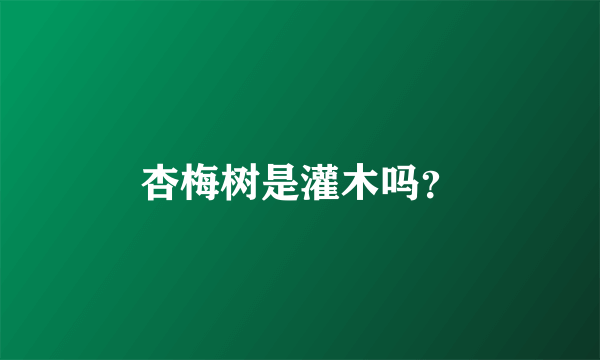 杏梅树是灌木吗？