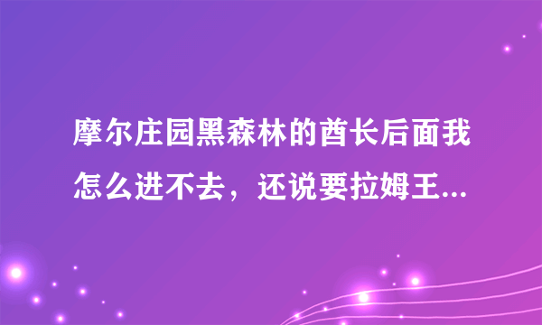 摩尔庄园黑森林的酋长后面我怎么进不去，还说要拉姆王的考验，我找拉姆王，拉姆王有说带上你的勇士来见我