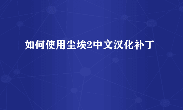 如何使用尘埃2中文汉化补丁