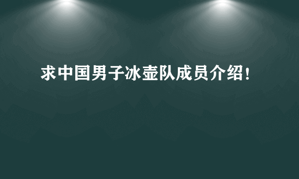 求中国男子冰壶队成员介绍！