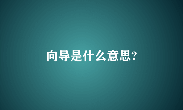 向导是什么意思?