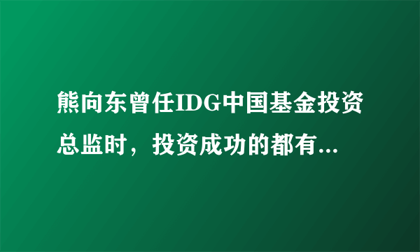 熊向东曾任IDG中国基金投资总监时，投资成功的都有哪些项目？