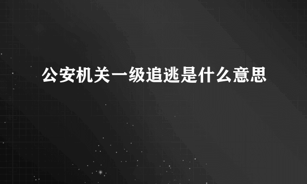 公安机关一级追逃是什么意思