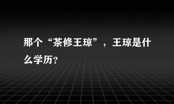 那个“茶修王琼”，王琼是什么学历？