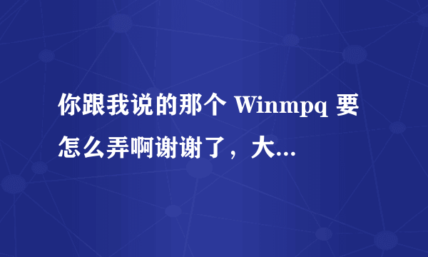 你跟我说的那个 Winmpq 要怎么弄啊谢谢了，大神帮忙啊