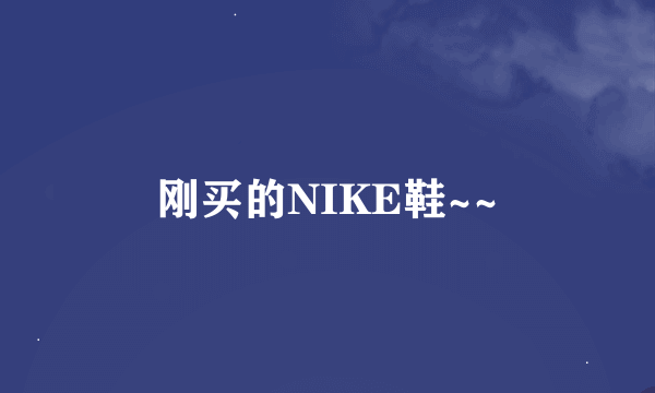 刚买的NIKE鞋~~