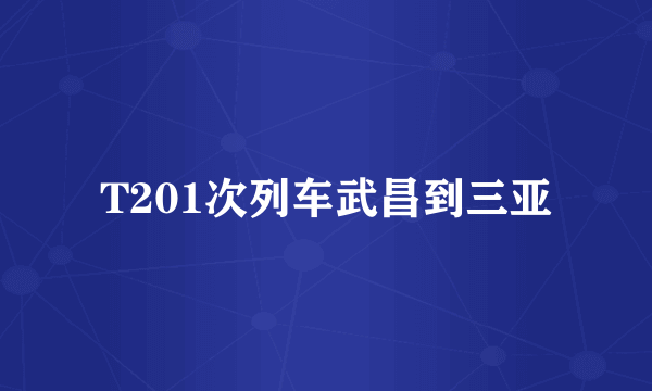 T201次列车武昌到三亚