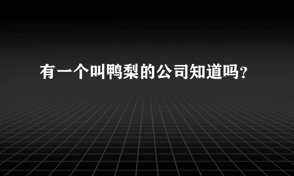 有一个叫鸭梨的公司知道吗？