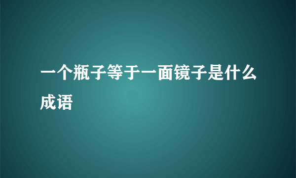 一个瓶子等于一面镜子是什么成语