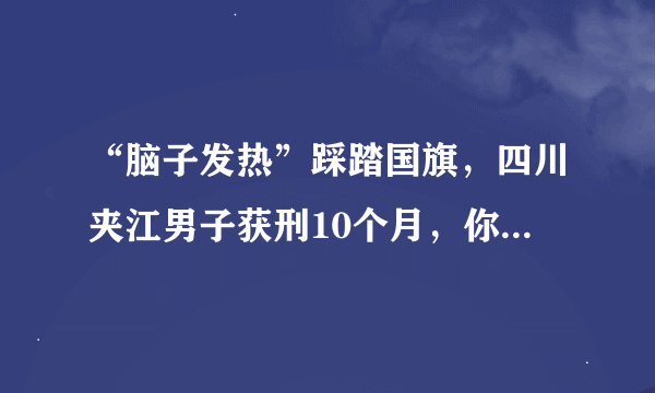 “脑子发热”踩踏国旗，四川夹江男子获刑10个月，你觉得这判决合理吗？