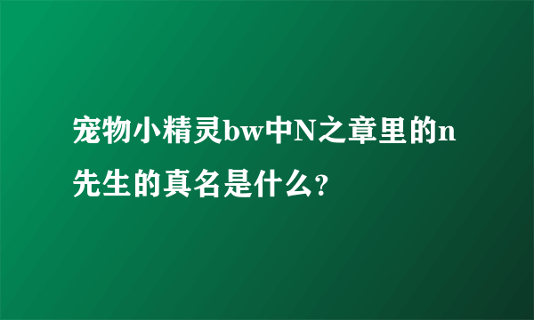 宠物小精灵bw中N之章里的n先生的真名是什么？