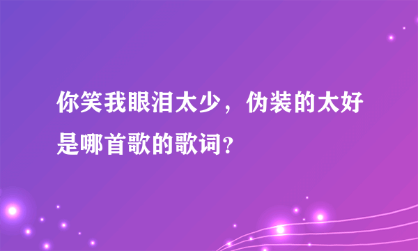 你笑我眼泪太少，伪装的太好是哪首歌的歌词？