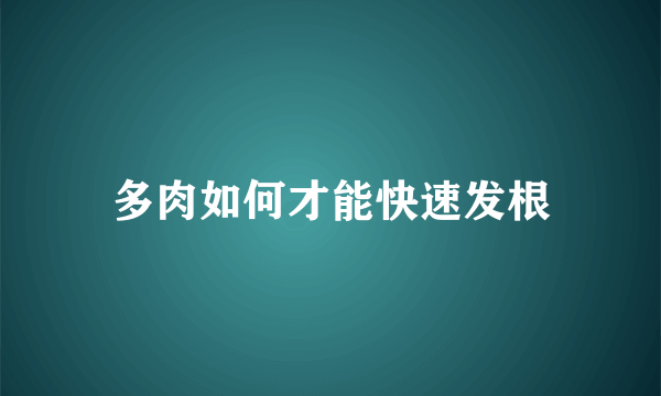 多肉如何才能快速发根