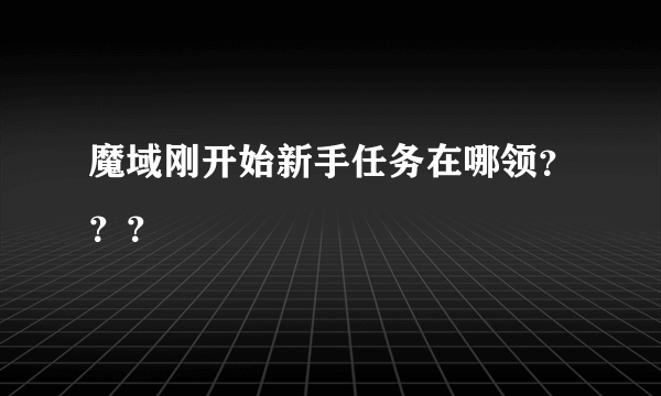 魔域刚开始新手任务在哪领？？？