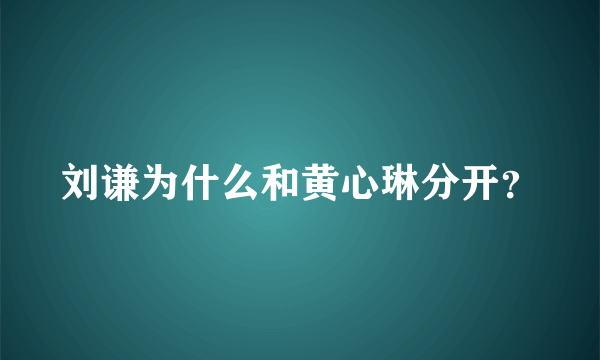 刘谦为什么和黄心琳分开？