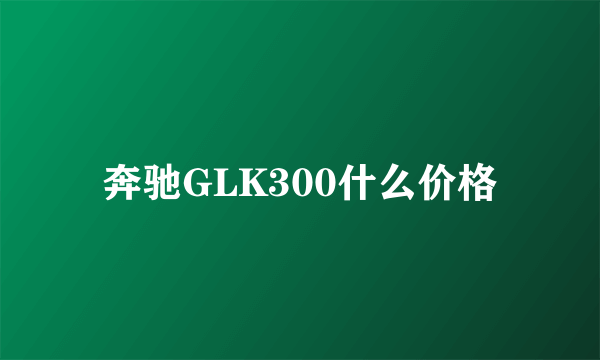 奔驰GLK300什么价格