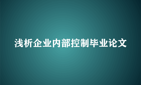 浅析企业内部控制毕业论文