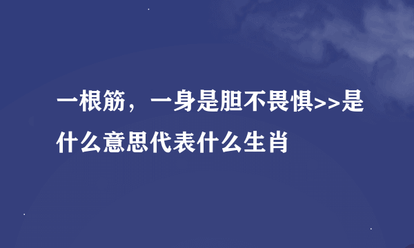 一根筋，一身是胆不畏惧>>是什么意思代表什么生肖