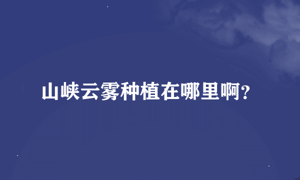 山峡云雾种植在哪里啊？