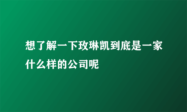 想了解一下玫琳凯到底是一家什么样的公司呢