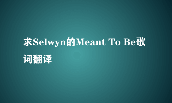 求Selwyn的Meant To Be歌词翻译