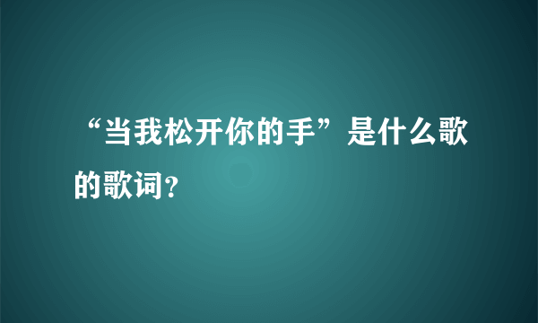 “当我松开你的手”是什么歌的歌词？