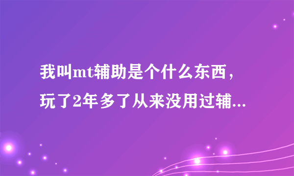 我叫mt辅助是个什么东西，玩了2年多了从来没用过辅助，听工会的人天天聊辅助这样那样的，解辅助能干嘛