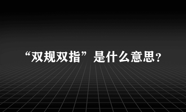 “双规双指”是什么意思？