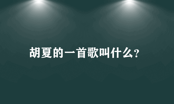 胡夏的一首歌叫什么？