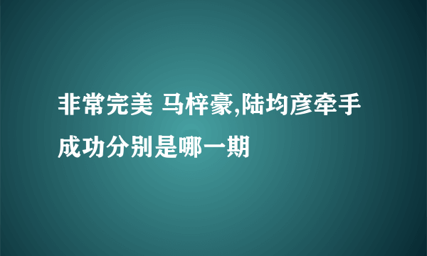 非常完美 马梓豪,陆均彦牵手成功分别是哪一期