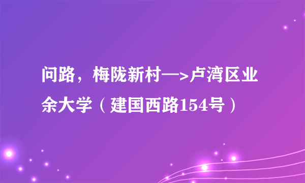 问路，梅陇新村—>卢湾区业余大学（建国西路154号）