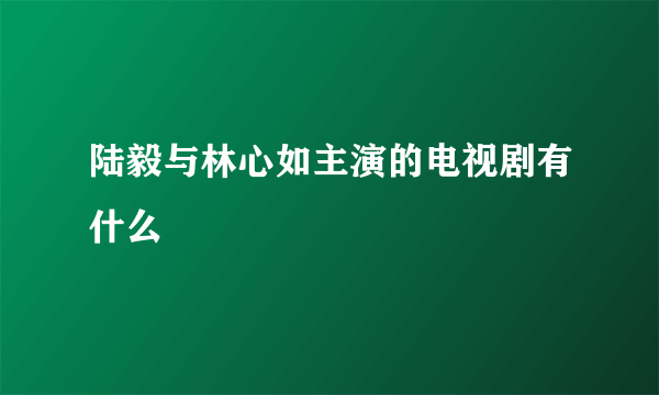 陆毅与林心如主演的电视剧有什么