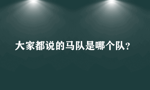 大家都说的马队是哪个队？