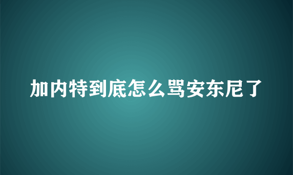 加内特到底怎么骂安东尼了