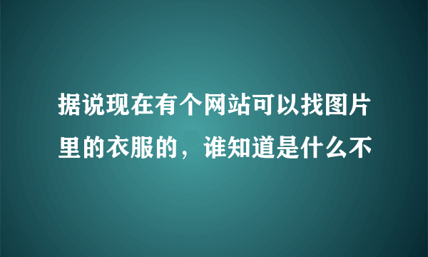 据说现在有个网站可以找图片里的衣服的，谁知道是什么不