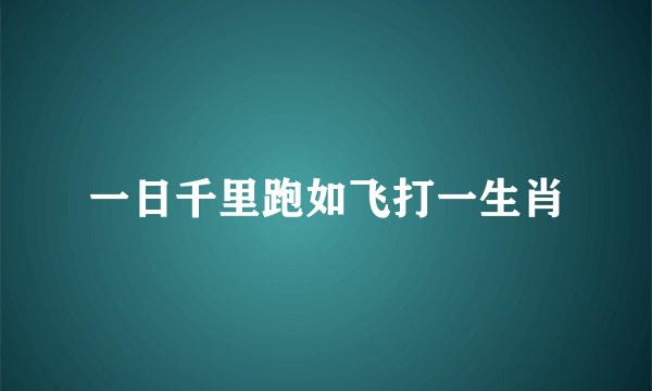 一日千里跑如飞打一生肖