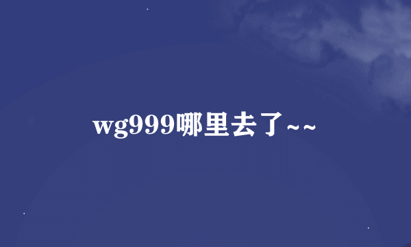 wg999哪里去了~~