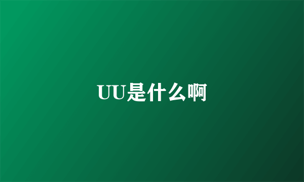 UU是什么啊