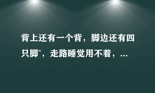 背上还有一个背，脚边还有四只脚^，走路睡觉用不着，写字画画要它帮。打一生肖