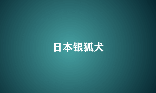 日本银狐犬