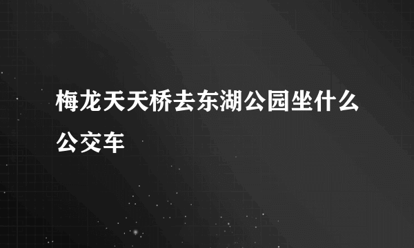 梅龙天天桥去东湖公园坐什么公交车