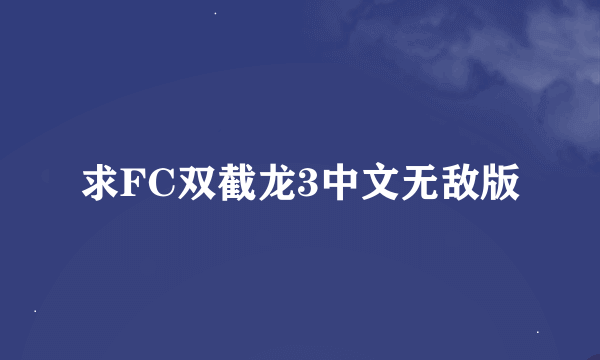 求FC双截龙3中文无敌版