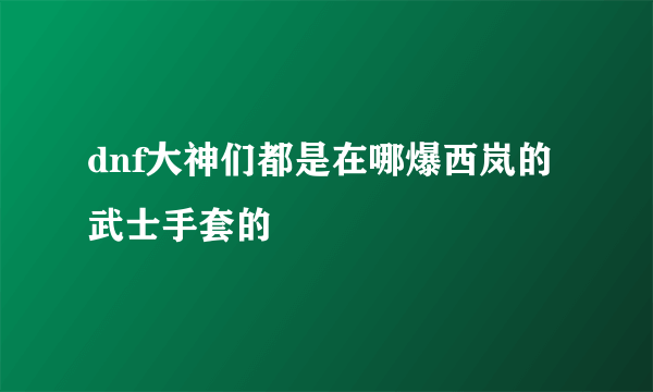 dnf大神们都是在哪爆西岚的武士手套的