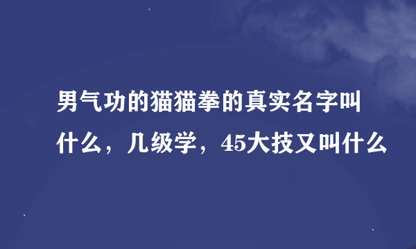 男气功的猫猫拳的真实名字叫什么，几级学，45大技又叫什么