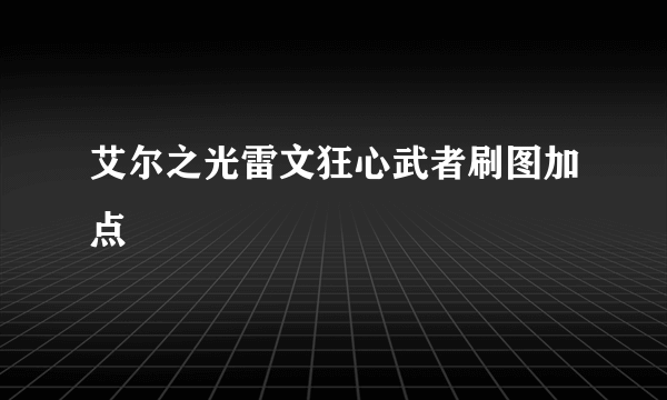 艾尔之光雷文狂心武者刷图加点