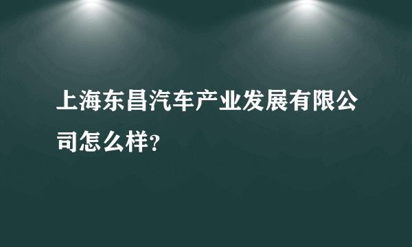 上海东昌汽车产业发展有限公司怎么样？